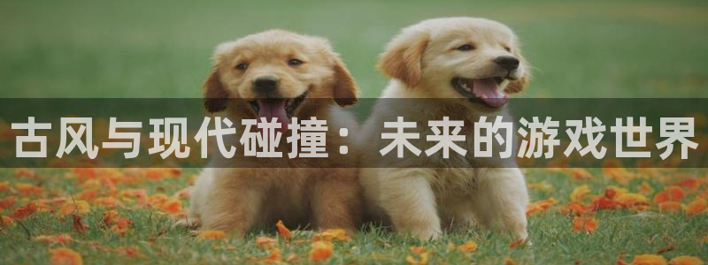 赢咖娱乐Ii：古风与现代碰撞：未来的游戏世界