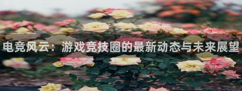 赢咖娱乐平台：电竞风云：游戏竞技圈的最新动态与未来展望