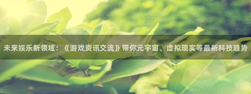 赢咖娱乐app：未来娱乐新领域：《游戏资讯交流》带你元宇宙、