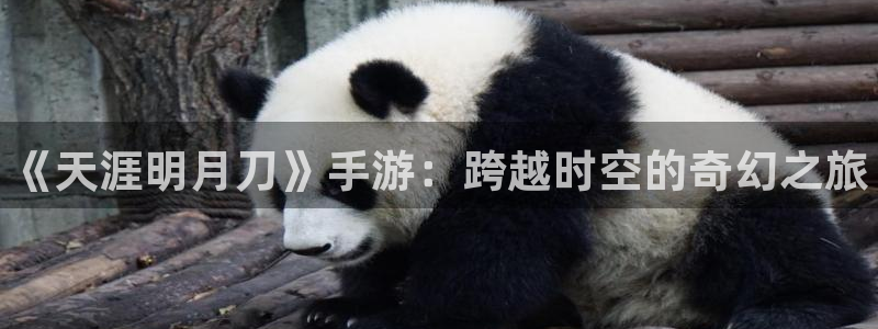 赢咖娱乐科技：《天涯明月刀》手游：跨越时空的奇幻之旅