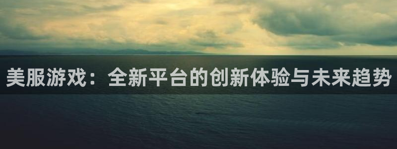 赢咖娱乐网页登录入口：美服游戏：全新平台的创新体验与未来趋势