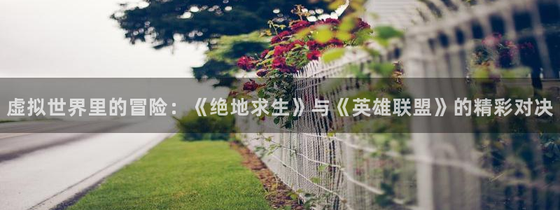 赢咖娱乐4主管：虚拟世界里的冒险：《绝地求生》与《英雄联盟》