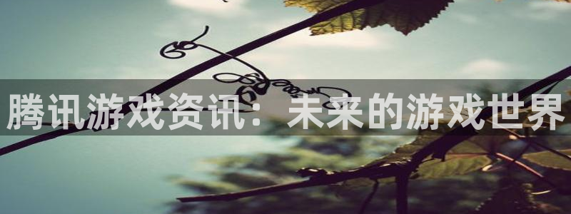 赢咖娱乐注册登录平台：腾讯游戏资讯：未来的游戏世界
