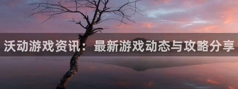 赢咖娱乐网址注册：沃动游戏资讯：最新游戏动态与攻略分享